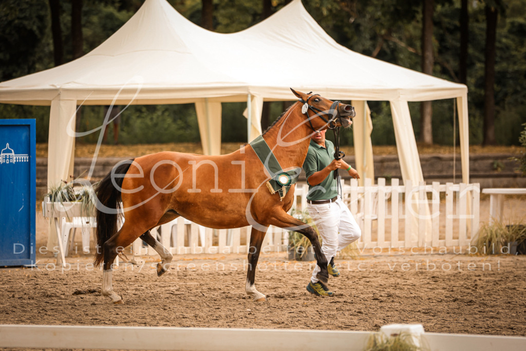 08.So00048 | Leoni Ertmer Photography - Realisiert mit Pictrs.com