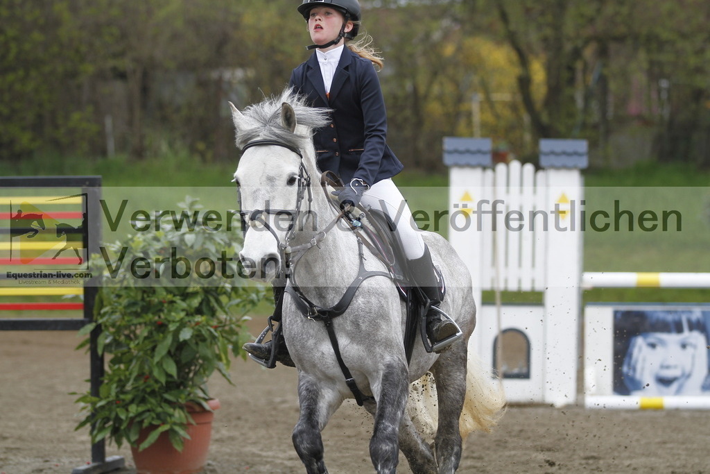 _MG_4386 | equestrian-live-com