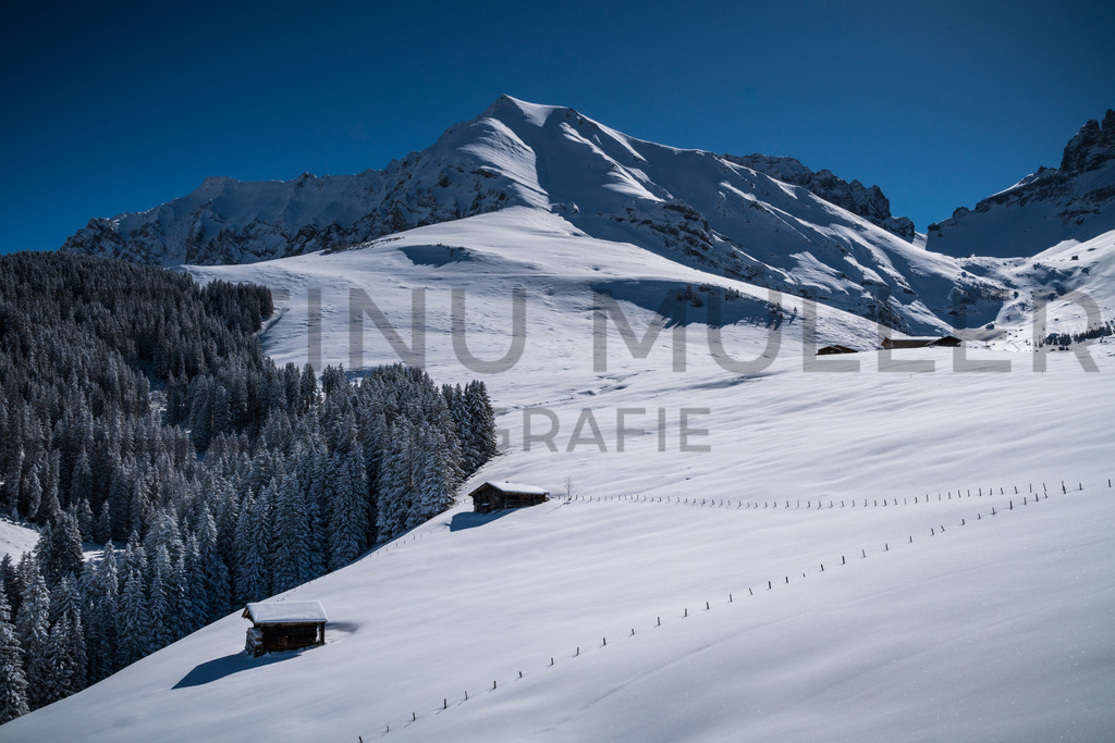 DSC03438 | Tinu Müller Fotografie- Bildershop - Realisiert mit Pictrs.com