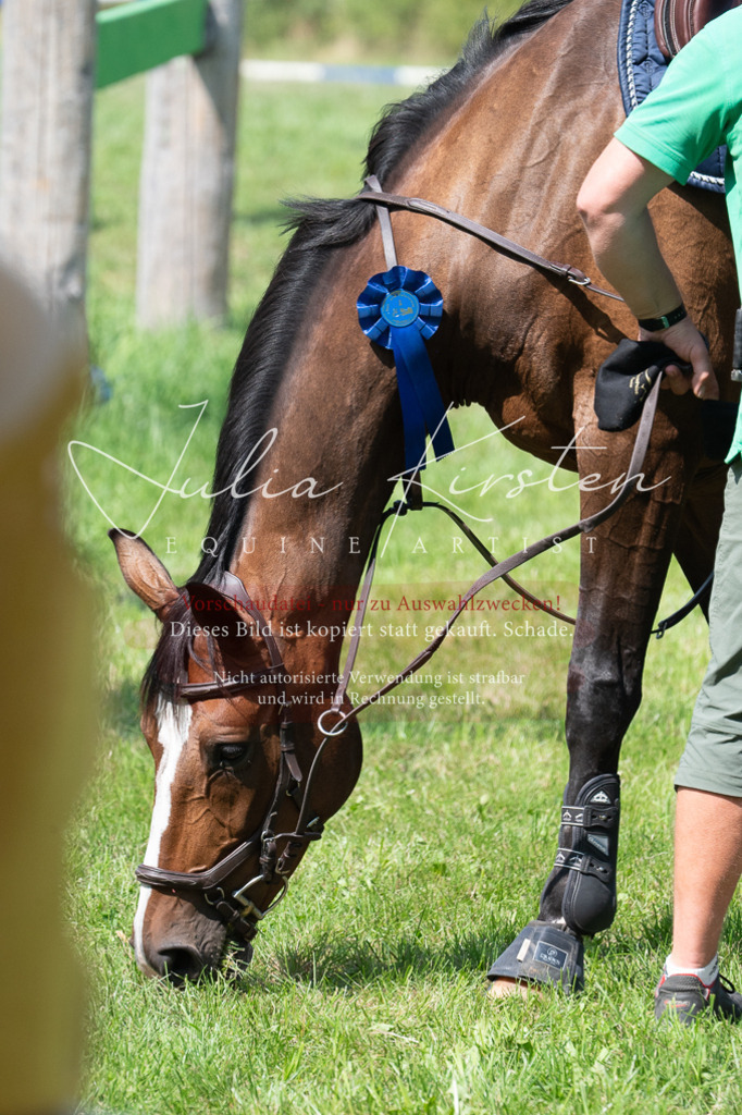 DSC_0731 | Pferde- und Turnierfotografie in Westsachsen. Pferdeportraits, Auftragszeichnungen und intuitive Kunst.