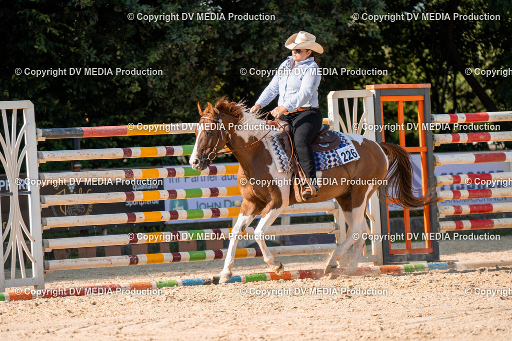 ZH100832 | dv-media-shop - Realisiert mit Pictrs.com