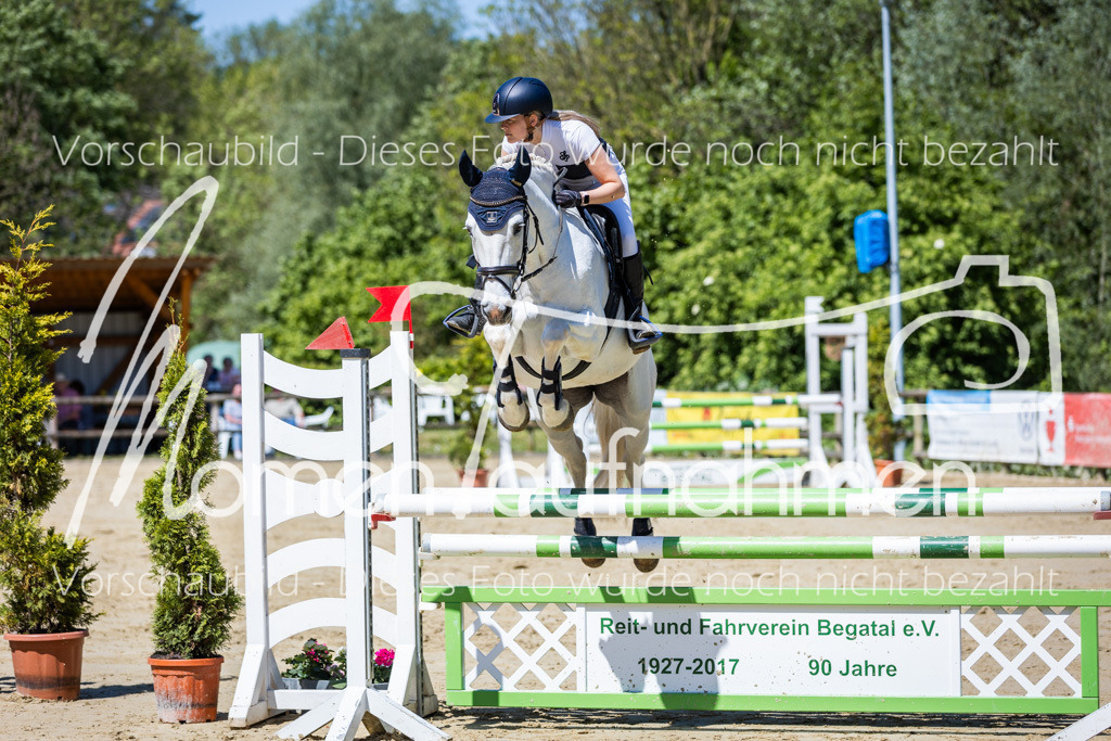 Donop24-Stil-L-037 | MomenTaufnahmen Pferdesportfotos