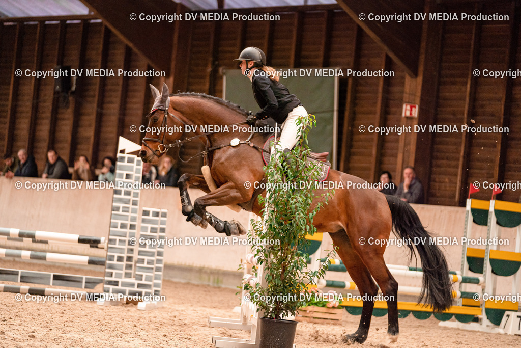 Springen Tag 3-230 | dv-media-shop - Realisiert mit Pictrs.com