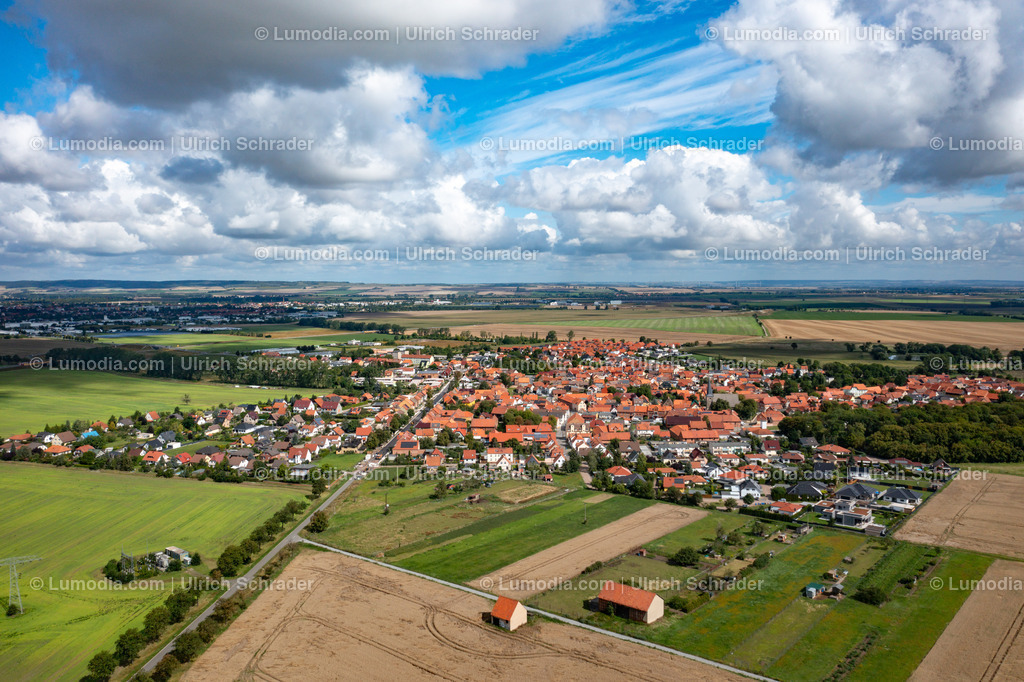 10049-51994 - Landschaft bei Harsleben | Stockfoto und Bilderpool mit Bildmaterial aus Deutschland, dem Harz, Halberstadt, Quedlinburg, Wernigerode und weltweit. Qualitativ hochwertige und professionelle Fotos anschauen und kaufen. - Realisiert mit Pictrs.com