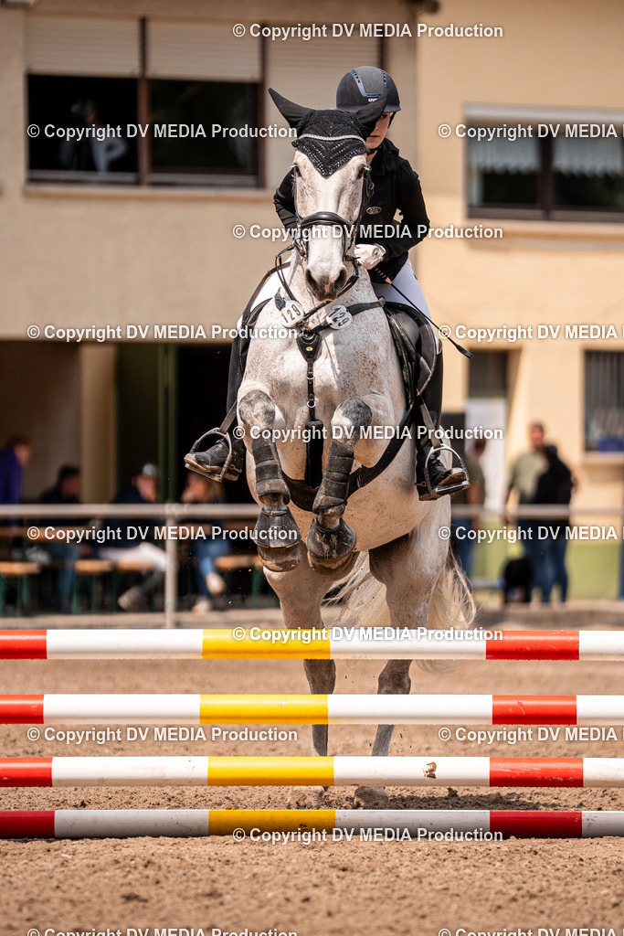 Eppelheim Tag 3-513 | dv-media-shop - Realisiert mit Pictrs.com