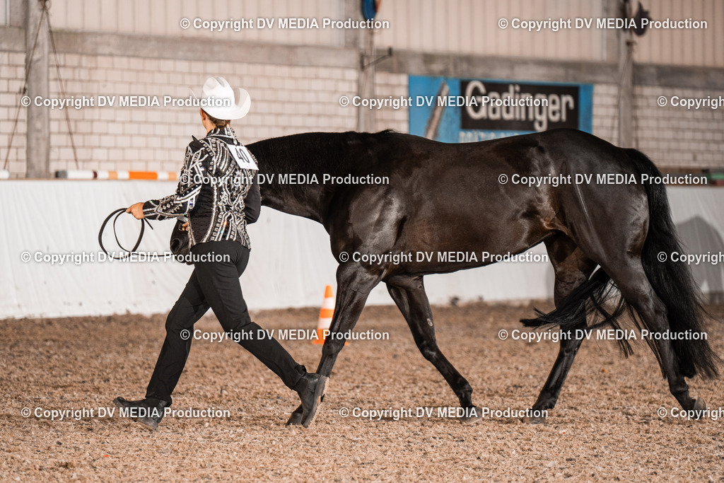 ZH200173 | dv-media-shop - Realisiert mit Pictrs.com