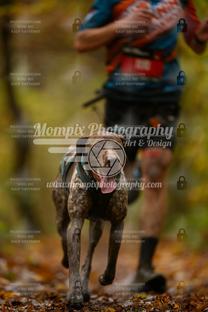 MompixPhotography_CD7S_DI_CCL-6 | mompixphotography