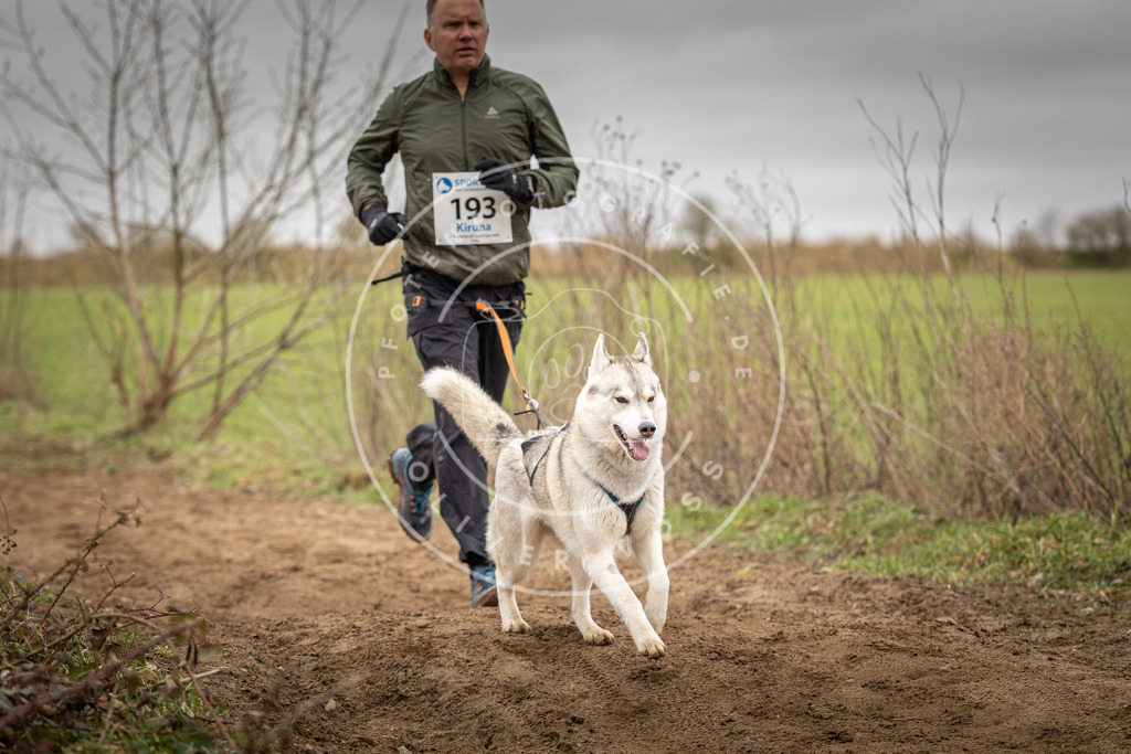 DV3A2253 | Hundefotografie, Tierfotograf, Pfotenfotografie, Fotoshooting Hund, Hunde Portrait, Hundesport, Hundeportraits, Heideshooting, Hunde, Sportfotograf, Hundefotograf, Turnierhundsport, THS,  - Realisiert mit Pictrs.com
