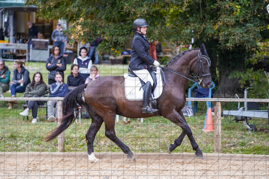20231007-SN_00976 | Professionelle Turnier- und Reitsportfotografie - mit dem Finger am Auslöser. Pferdebilder aus dem Reitsport von den Turnierfotografen  Bayern , Pferdefotograf Bayern, Pferdeshooting Turnierbilder, Hochzeitsfotograf, Eventfotograf, Hochzeitsbilder