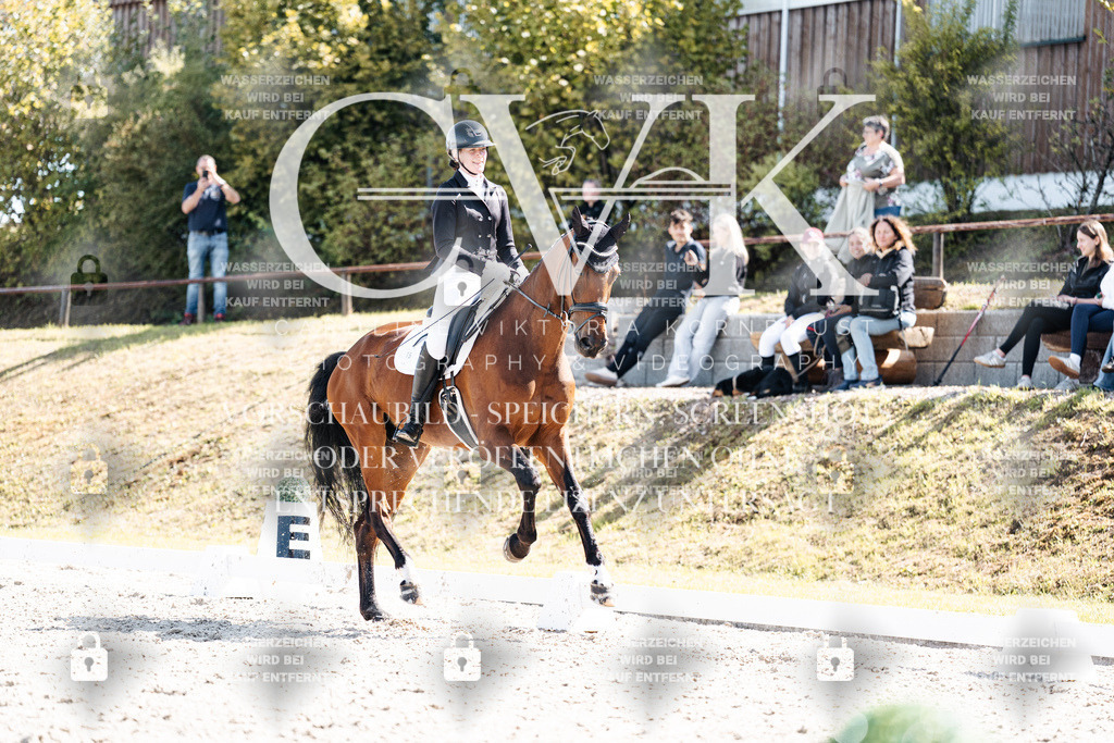 CK902968 | Turnierfotografie Pferdefotografie Trier Rheinland-Pfalz Pferdesport Reitsport Tierfotografie Sportfotografie Pferdevideo Pferdevideografie Equestrianvideography equestrianphotography  - Realisiert mit Pictrs.com