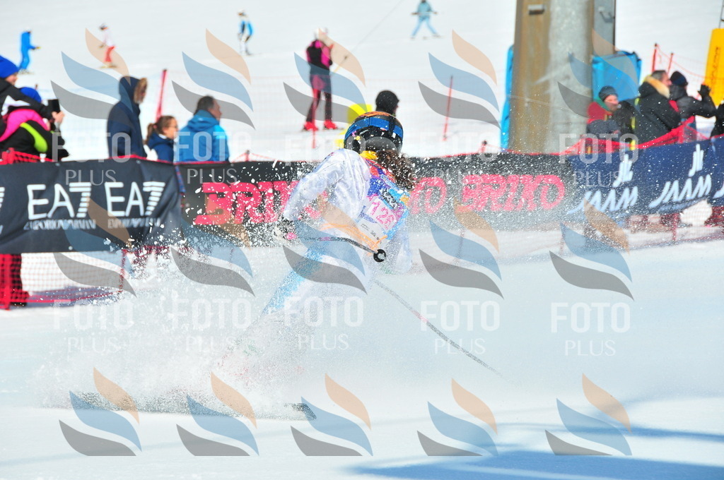 DSC_4828 | holidayphoto