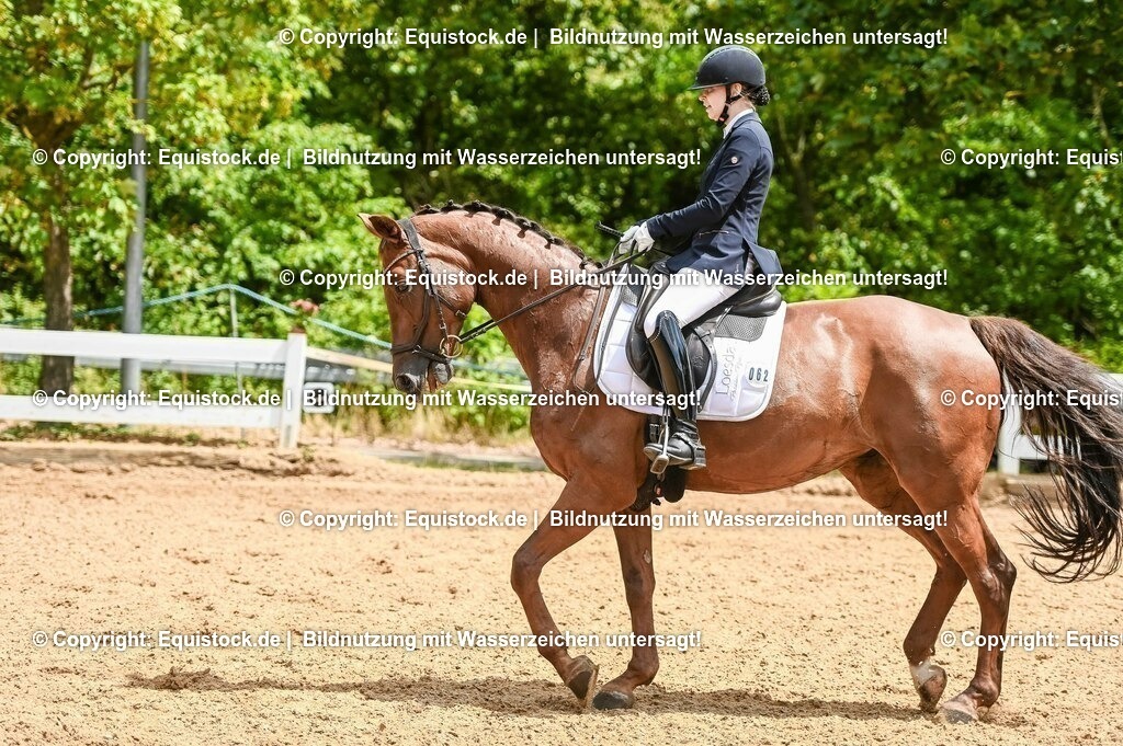 20230716_03_Dressurprfg. Kl.L - Tr._0381 | equistock