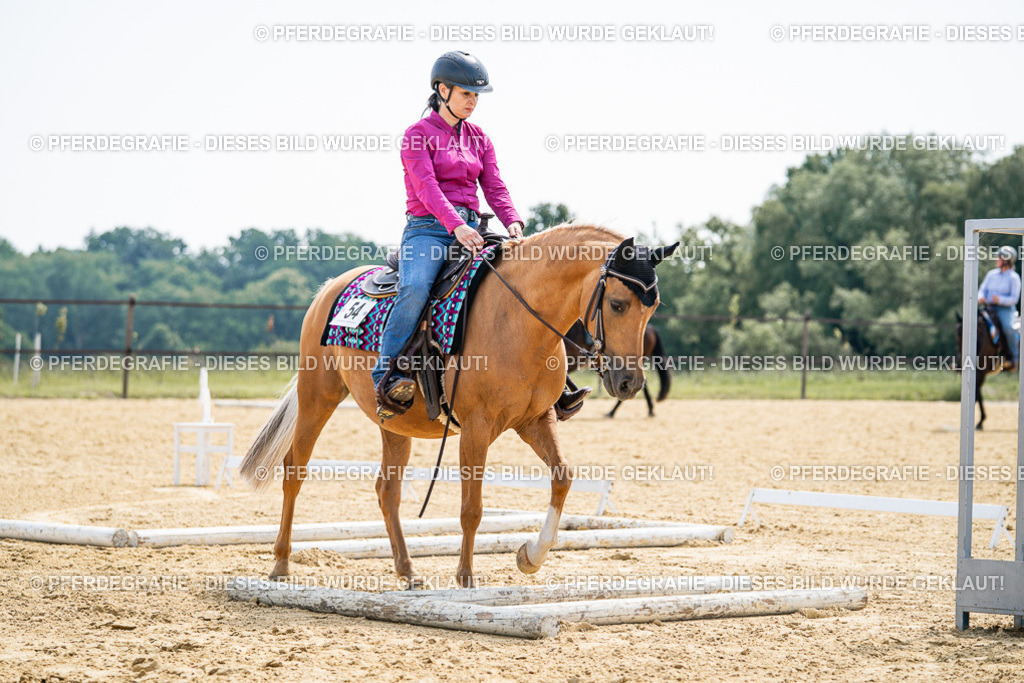 DSC00341 | Pferdegrafie