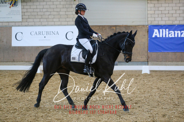 IMG_2913 | Turnierfotos kaufen im Webshop von Daniel Kuhl Photography – entdecke professionelle Reitsportfotos aus Turnieren & Events. Hochwertige Turnierbilder online bestellen & sichern. Jetzt Fotos von Reitsportturnieren kaufen!