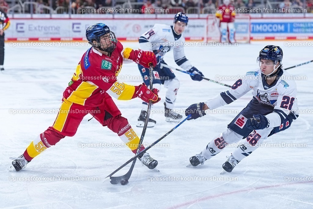 xydr03102501198 | 03.10.2025, xydrx, Eishockey, DEL2, Düsseldorfer EG - EC Kassel Huskies, PSD Bank Dome Düsseldorf: Kevin Noren (Düsseldorfer EG #56) im Zweikampf gegen Ben Stadler (EC Kassel Huskies #28)