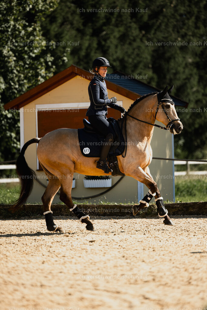 Diana11_FHC2025-27544 | working equitationturnier fotograf videograf stoibphotography marixx film working equitation deutschland reitsport turnierfotografie eventfotografie equestrian events