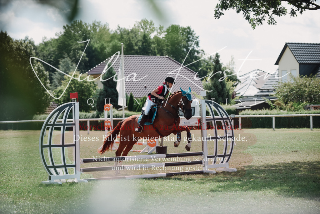 DSC_5793 | Pferde- und Turnierfotografie in Westsachsen. Pferdeportraits, Auftragszeichnungen und intuitive Kunst.