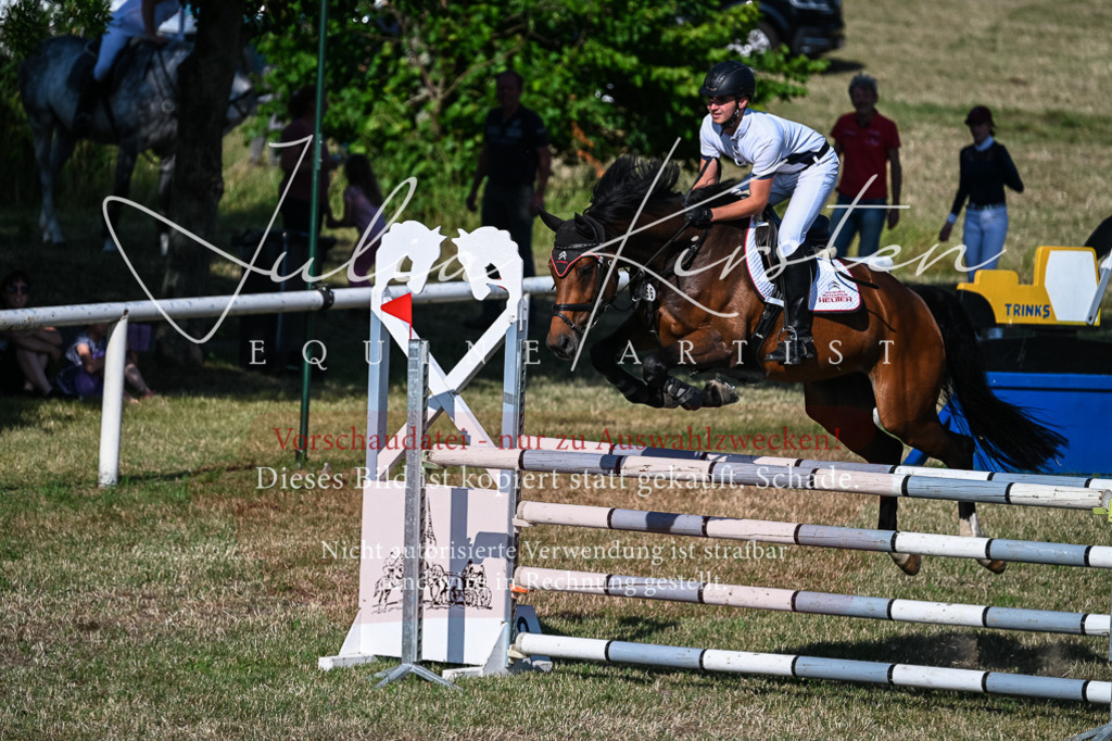 DSC_2528 | Pferde- und Turnierfotografie in Westsachsen. Pferdeportraits, Auftragszeichnungen und intuitive Kunst.