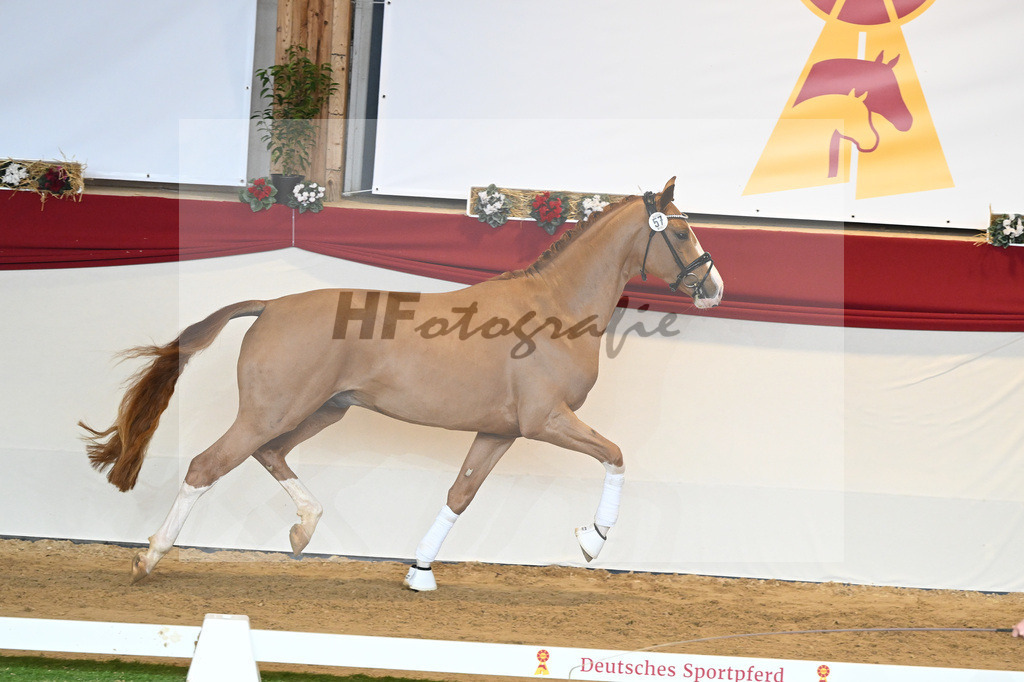 Kat-Nr. 57 Fuerst Samarant_Beckmann_1230595 | hf-fotografie - Realisiert mit Pictrs.com