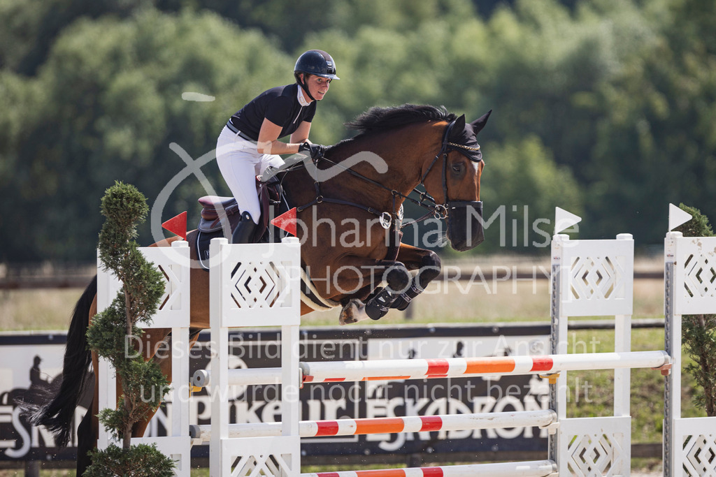 250629_PfSpTa_L-Spr-1-411 | Deine schönsten Turniermomente als professionelle Fotos! Entdecke hochwertige Pferdesport-Fotografie im Online-Shop. Jetzt Fotos finden & bestellen!