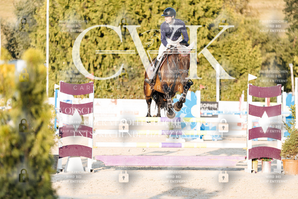 CK900995 | Turnierfotografie Pferdefotografie Trier Rheinland-Pfalz Pferdesport Reitsport Tierfotografie Sportfotografie Pferdevideo Pferdevideografie Equestrianvideography equestrianphotography  - Realisiert mit Pictrs.com
