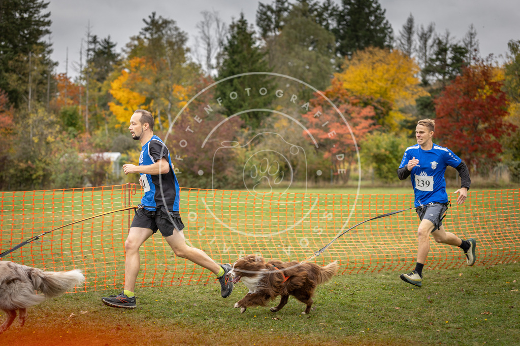 Pfotenfotografie_DV3A4307 | Hundefotografie, Tierfotograf, Pfotenfotografie, Fotoshooting Hund, Hunde Portrait, Hundesport, Hundeportraits, Heideshooting, Hunde, Sportfotograf, Hundefotograf, Turnierhundsport, THS,  - Realisiert mit Pictrs.com
