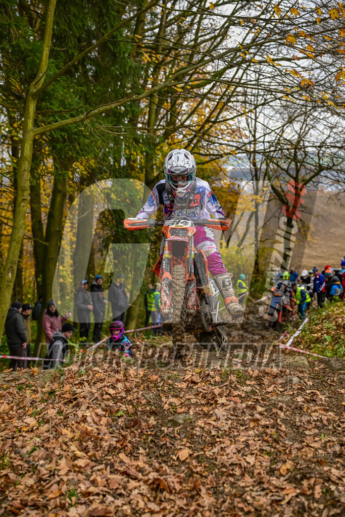 NZ8_6754 | grenznic640