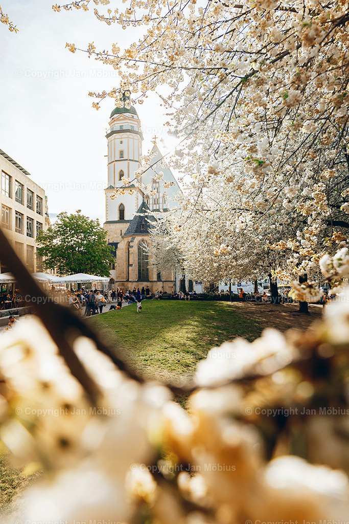 _DSC1419 | Leipzig Wandbilder Drucke Prints Leinwand Stadtmotive Leipzig Fotosdruck Kunstdrucke Bilder Leipzig Stadtansichten Acrylglasbilder Leipzig Wanddeko Fine Art Prints Wandbilder Büro Leipzig Bilder Praxis Zuhause Bilderdruck Poster Posterlounge Kunstdrucke - Realisiert mit Pictrs.com