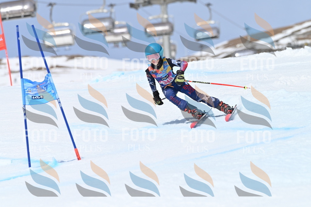 BGV_3599 | holidayphoto