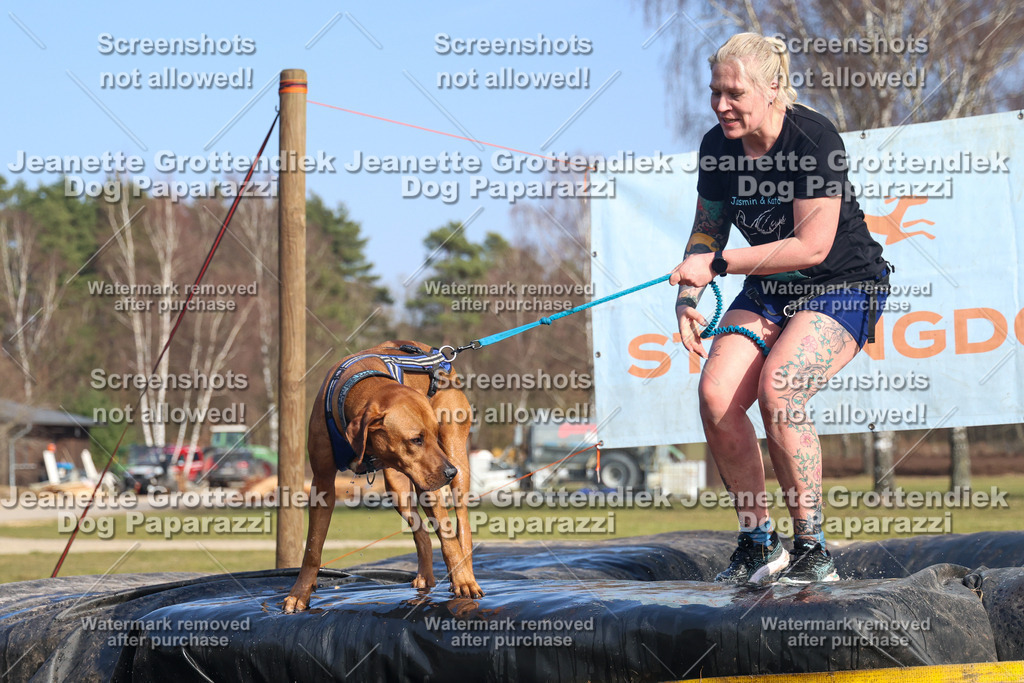 Dog Paparazzi - Strongdog North Mrz26-3192 | Dog Paparazzi Jeanette Grottendiek Fotografie & Videografie - Realisiert mit Pictrs.com