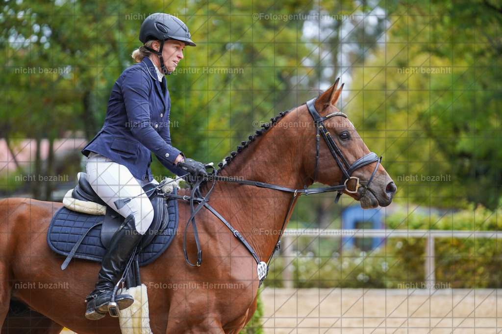 20221009-FAH08902 | Diessen am Ammersee, 2022, Dressur- und Springturnier, Reitsportbilder, Turnierfotografen Bayern, Pferdefotografen, Fotoagentur Herrmann, Turnierbilder