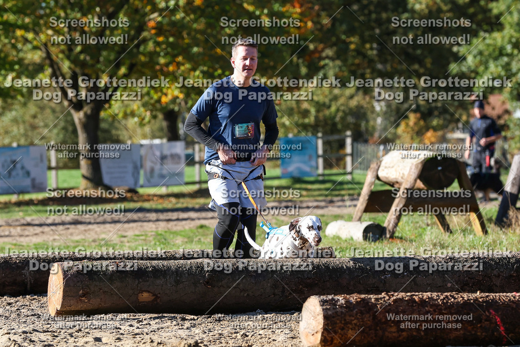 Dog Paparazzi - Strongdog 10-25-2090 | Dog Paparazzi Jeanette Grottendiek Fotografie & Videografie - Realisiert mit Pictrs.com