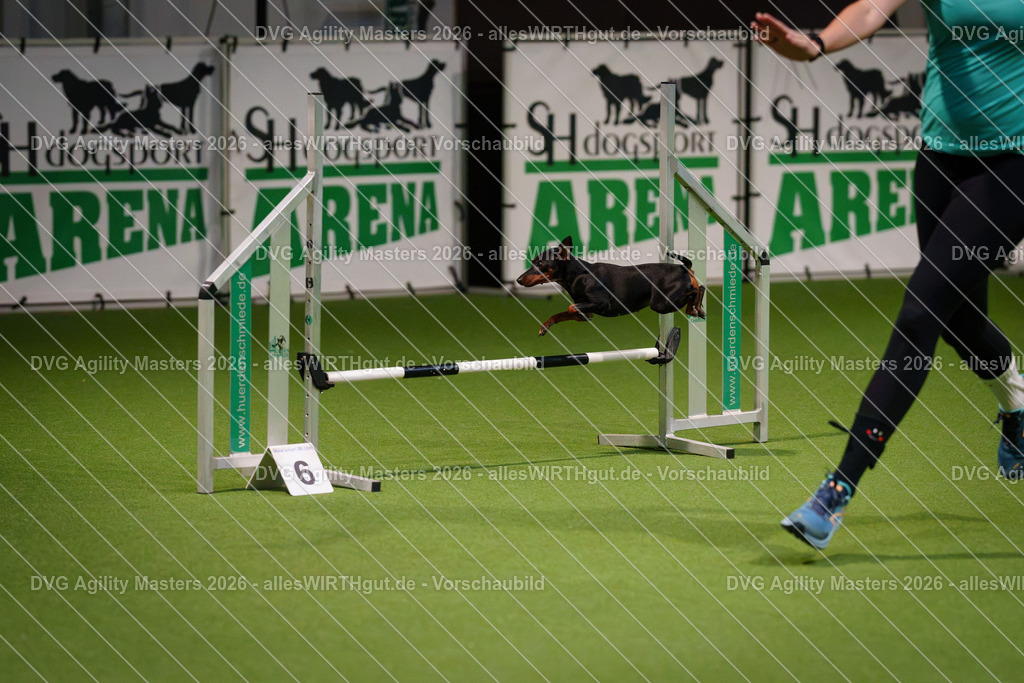 allesWIRTHgut_Tierfotografie-DVG_Agility_Masters_2026-08_17-7R507865 | Professionelle Tierfotografie in Mönchengladbach von Daniel Wirth (allesWIRTHgut). Liebevolle & natürliche Bilder von Hunden & Katzen für unvergessliche Erinnerungen.