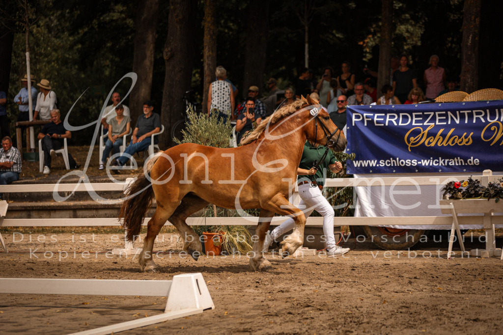 3.Sa00009 | Leoni Ertmer Photography - Realisiert mit Pictrs.com