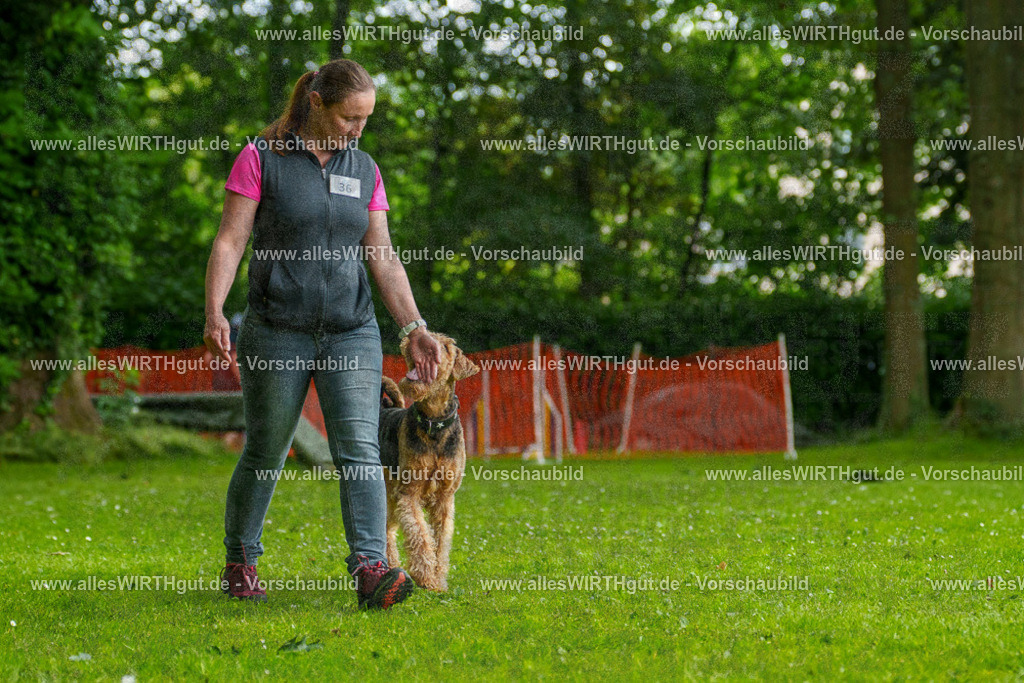 @allesWIRTHgut_Tierfotografie - www.allesWIRTHgut.de - 123847-7R509225 | Professionelle Tierfotografie in Mönchengladbach von Daniel Wirth (allesWIRTHgut). Liebevolle & natürliche Bilder von Hunden & Katzen für unvergessliche Erinnerungen.