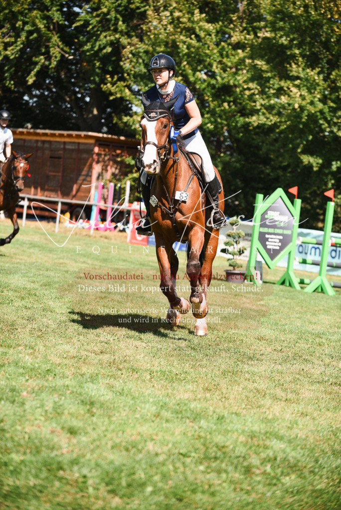 DSC_2960 | Pferde- und Turnierfotografie in Westsachsen. Pferdeportraits, Auftragszeichnungen und intuitive Kunst.