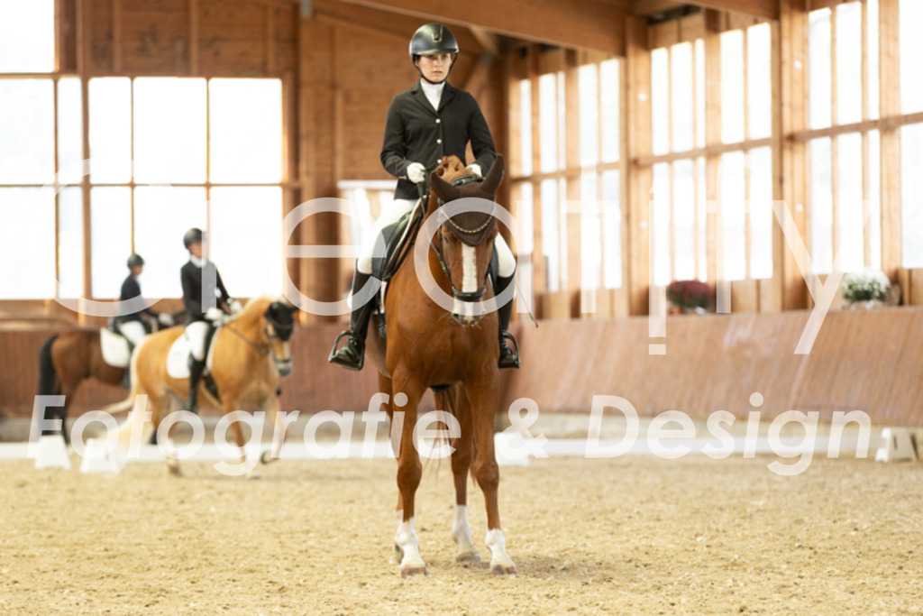 IMG_5935 | Creatify Fotografie