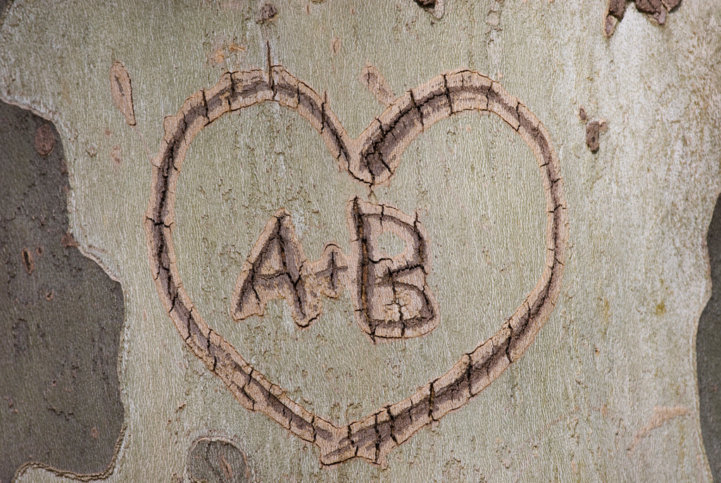 Initialien in Baumrinde geschnitzt | Wien, Austria - April 11, 2008: Initialien in Baumrinde geschnitzt. - Realisiert mit Pictrs.com