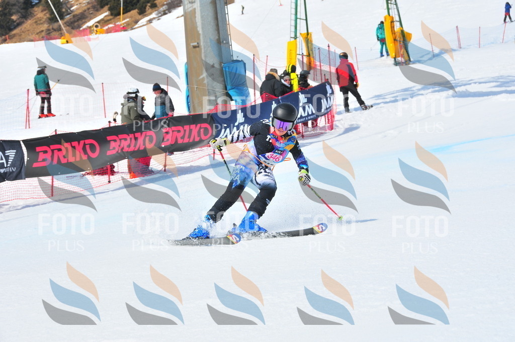 DSC_6939 | holidayphoto