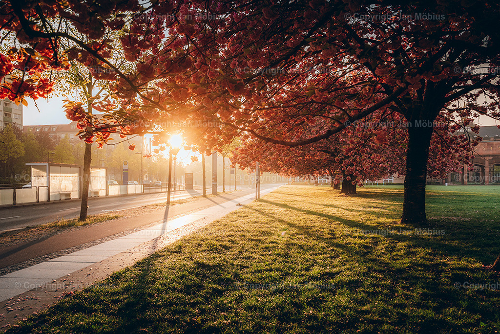 _DSC1694 | Leipzig Wandbilder Drucke Prints Leinwand Stadtmotive Leipzig Fotosdruck Kunstdrucke Bilder Leipzig Stadtansichten Acrylglasbilder Leipzig Wanddeko Fine Art Prints Wandbilder Büro Leipzig Bilder Praxis Zuhause Bilderdruck Poster Posterlounge Kunstdrucke - Realisiert mit Pictrs.com