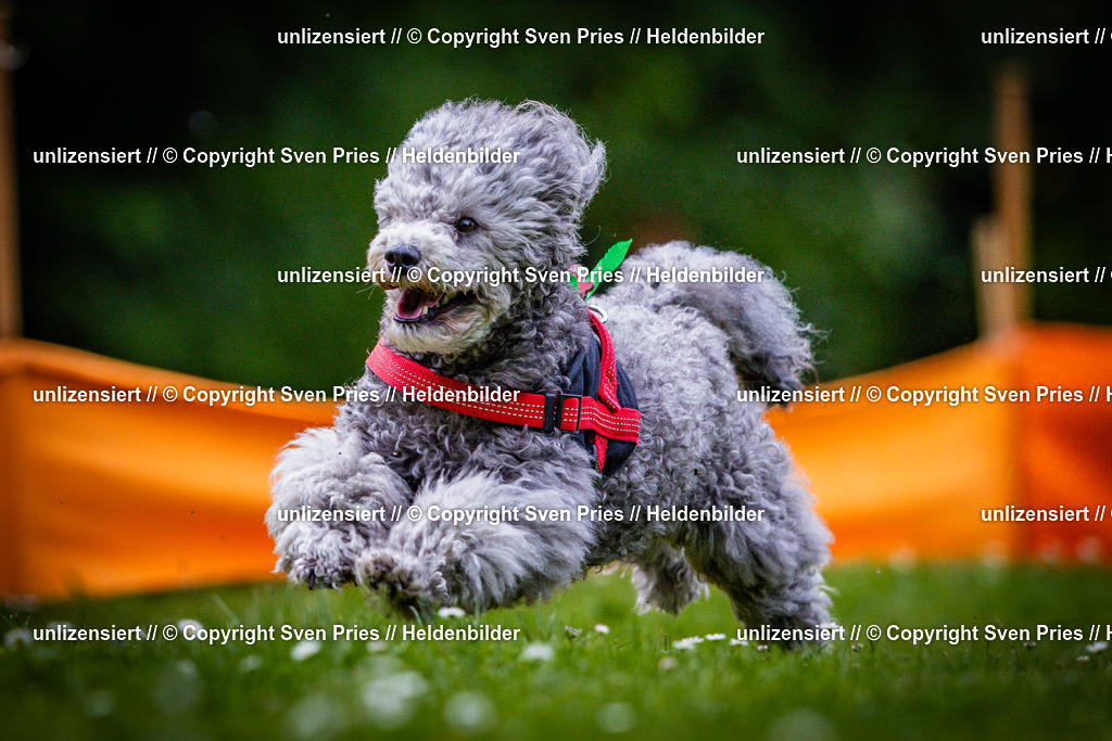 Sven Pries | 2025-05-29 - Pudelrennen KA-Durlach - Realisiert mit Pictrs.com