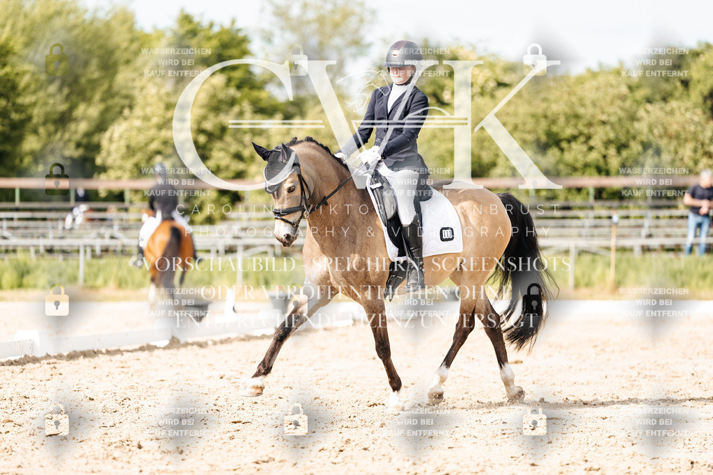 CK900438 | Turnierfotografie Pferdefotografie Trier Rheinland-Pfalz Pferdesport Reitsport Tierfotografie Sportfotografie Pferdevideo Pferdevideografie Equestrianvideography equestrianphotography  - Realisiert mit Pictrs.com