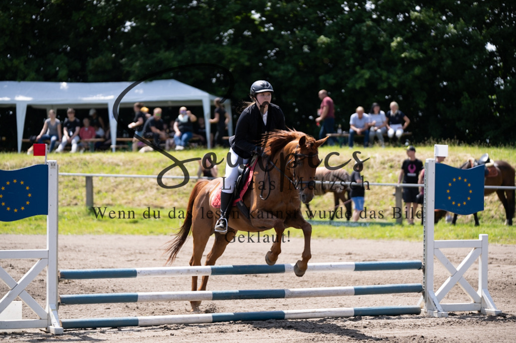 A7V04441 | Pferdefotograf