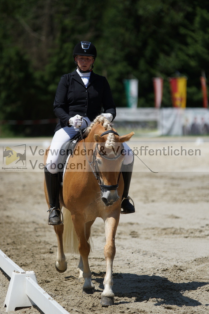 DSC03273 | equestrian-live-com