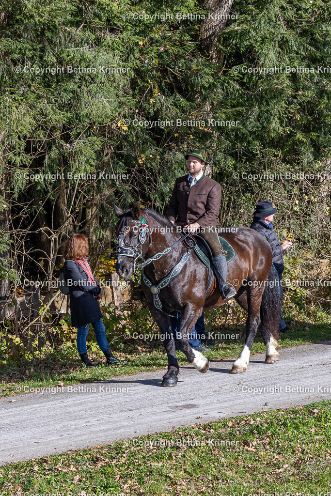 LBT24-905 | foto-bettina-krinner - Realisiert mit Pictrs.com