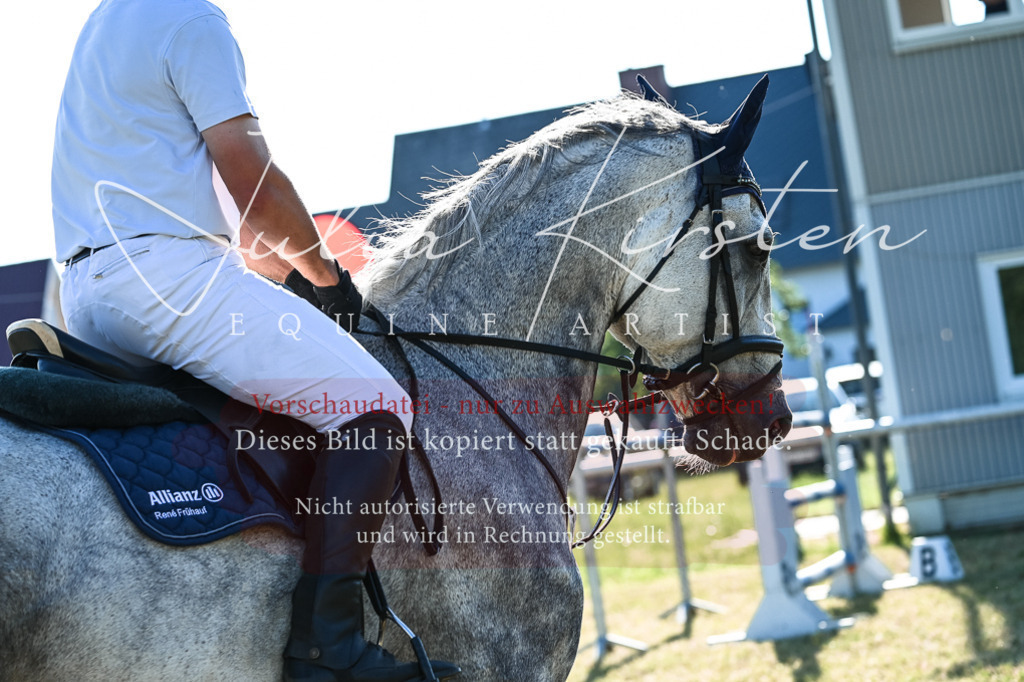 DSC_2798 | Pferde- und Turnierfotografie in Westsachsen. Pferdeportraits, Auftragszeichnungen und intuitive Kunst.