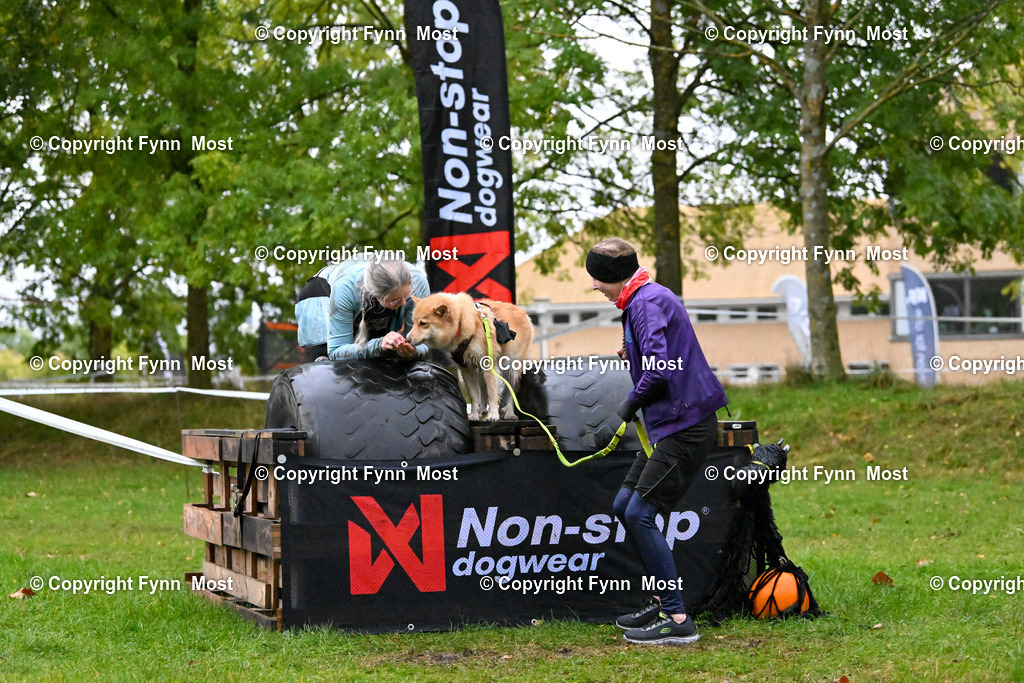 DSC_1341 | Hallo und herzlich Willkommen auf meiner Shop-Seite Fynn Most.

Ich wünsche Dir viel Spaß beim stöbern durch die Bilder, wenn Du Fragen hast oder Bilder vermisst, kannst du mir gerne eine Nachricht schreiben. - Realisiert mit Pictrs.com