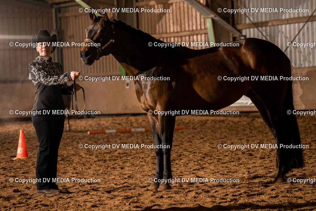 BAL01195 | dv-media-shop - Realisiert mit Pictrs.com