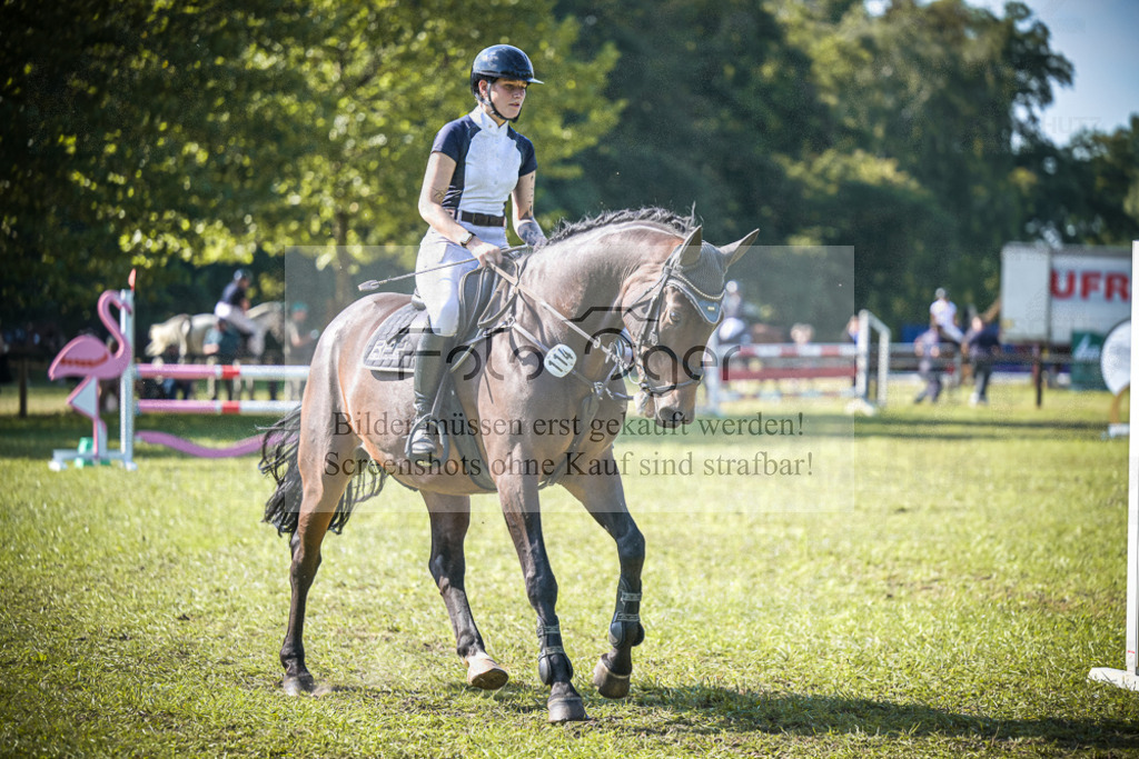 DOS_0486 | Entdecke hochwertige Reitturnierfotos von Foto Oger. Professionell, emotional und authentisch – jetzt Lieblingsmomente im Shop bestellen.Deutschlandweite Turnierfotografie. - Realisiert mit Pictrs.com