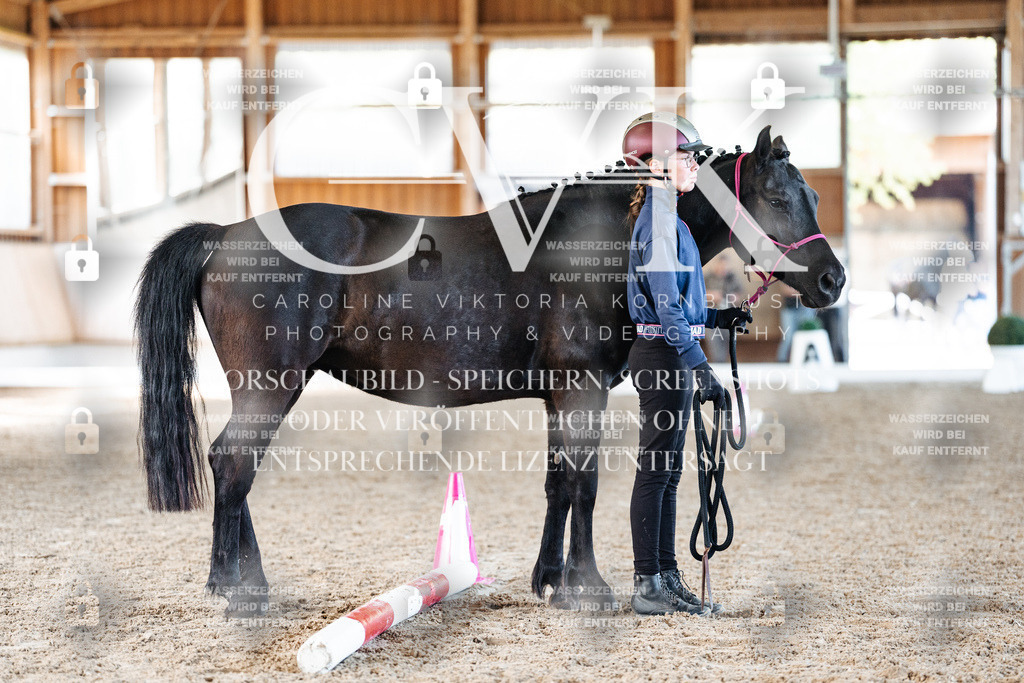 CK906031 | Turnierfotografie Pferdefotografie Trier Rheinland-Pfalz Pferdesport Reitsport Tierfotografie Sportfotografie Pferdevideo Pferdevideografie Equestrianvideography equestrianphotography  - Realisiert mit Pictrs.com
